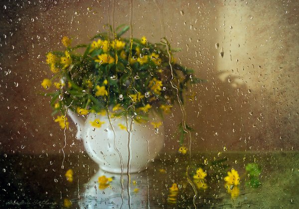 Доброе утро/ весны в ДКГЕ