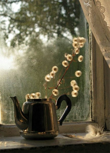 Доброе дождливое утро