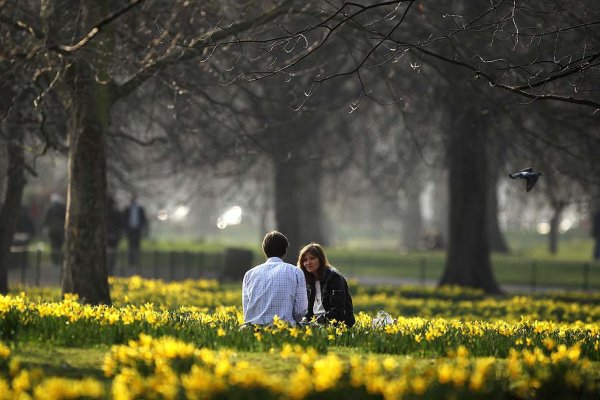 Влюбленные в парке весной