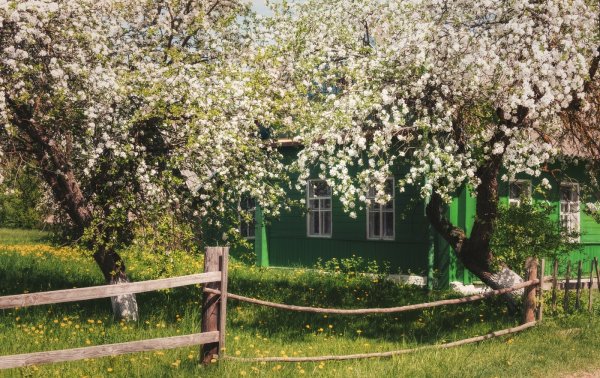 Весна в деревне