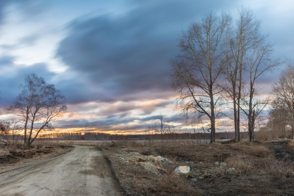 Унылый пейзаж