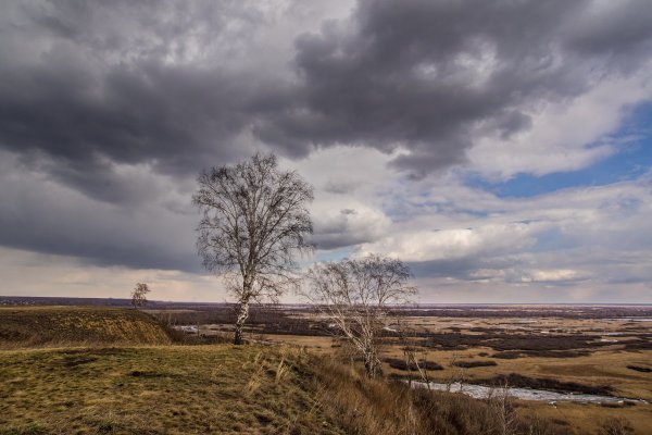 Пасмурный весенний день