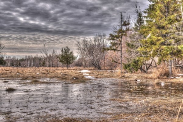 Пасмурный день