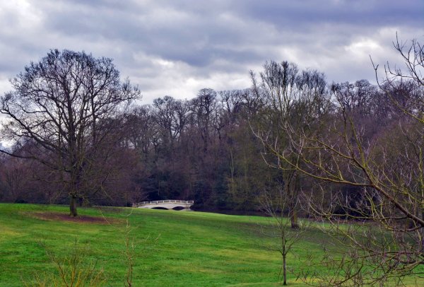 Пасмурная поздняя осень