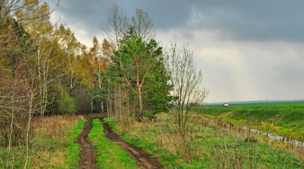 Тучи весной