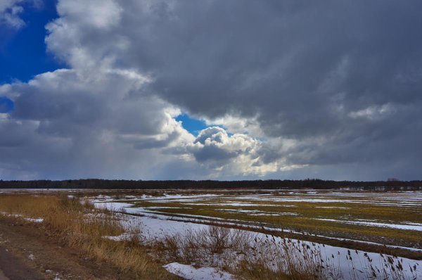 Хмурая Весна