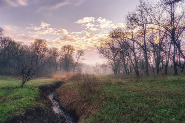 Пасмурная Весна