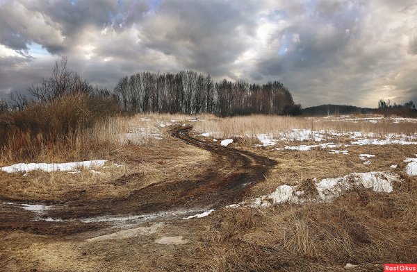 Пасмурная осень