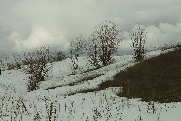 Пасмурная Весна