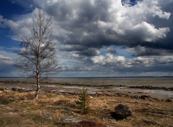 Пасмурная осень