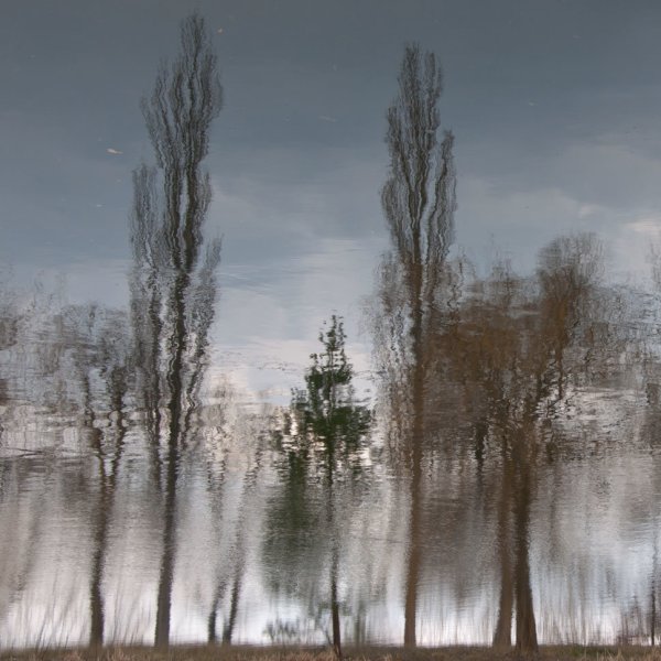 Раннее хмурое Весеннее что это