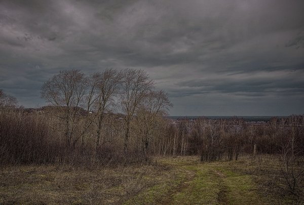 Серая осень