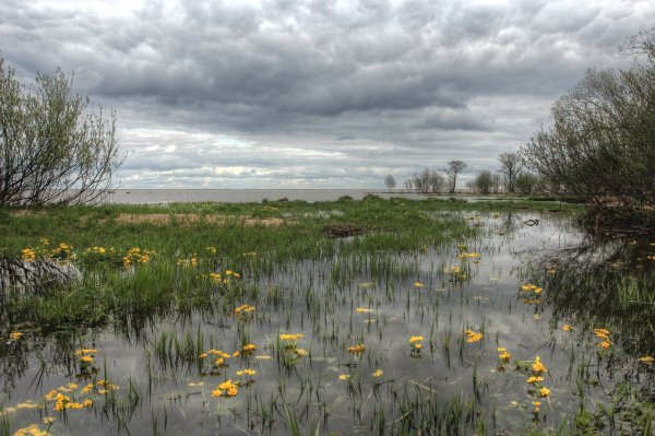 Хмурый весенний день
