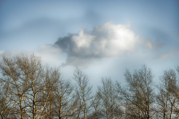 Пасмурный день весной