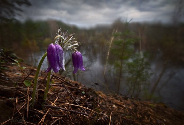 Зима пасмурно