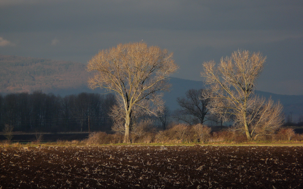 Хмурая Весна
