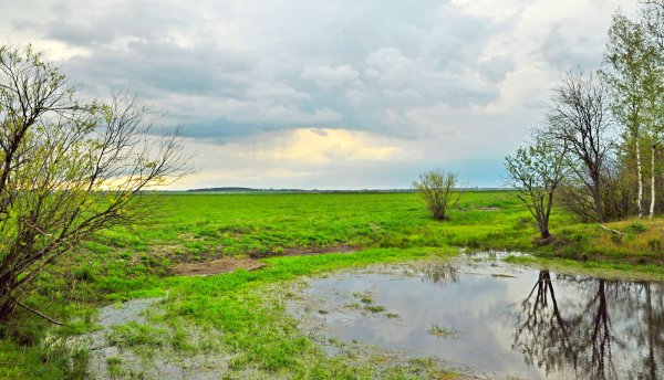 Пасмурная Весна