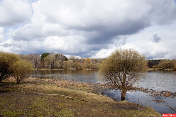 Пасмурный пейзаж