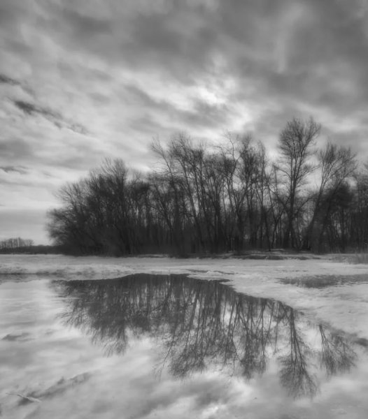 Весенний лес в тумане