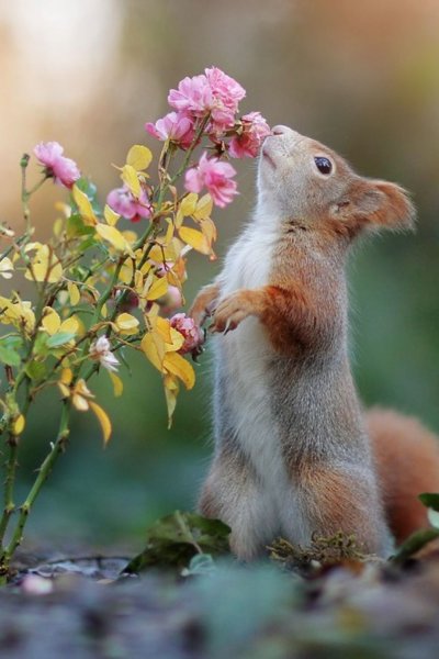 Весеннее настроение