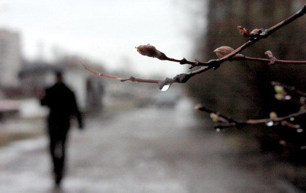 Весна одиночество