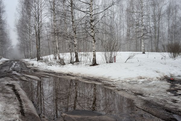 Грустная Весна