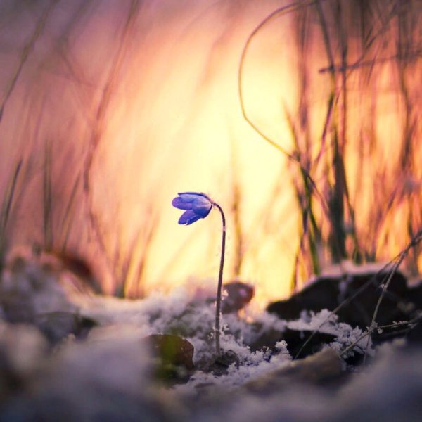 Ранняя Весна вечер