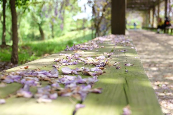 Весна грусть природа