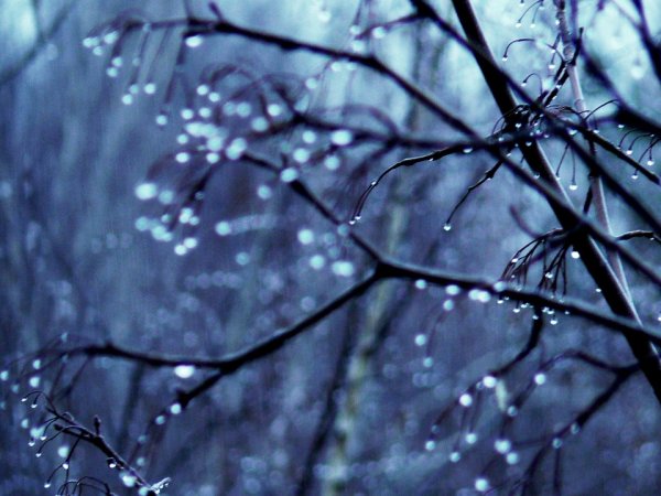 Весна грусть