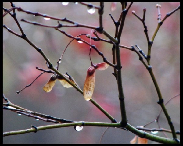 Половодье ночь