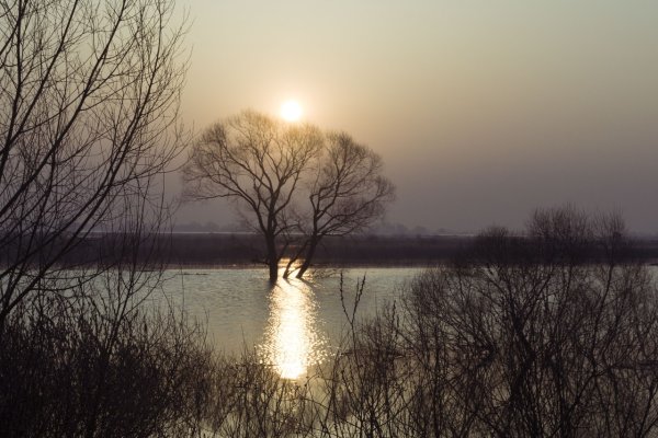 Осень грусть
