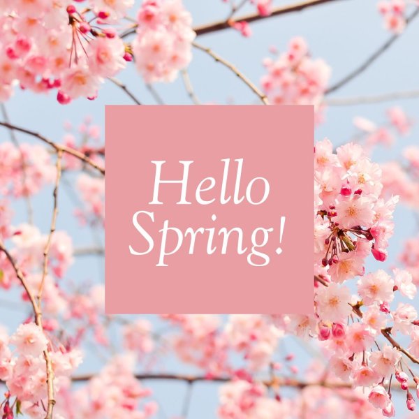 Spring картинка for Kids