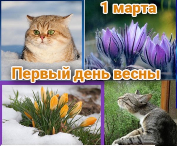 С первым марта