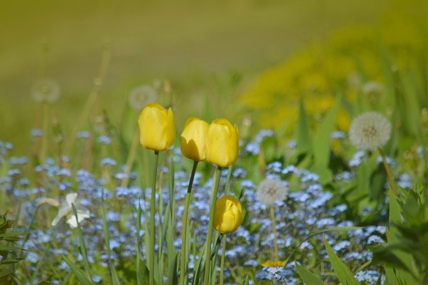 Конец весны