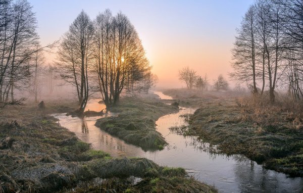 Красивая ранняя Весна