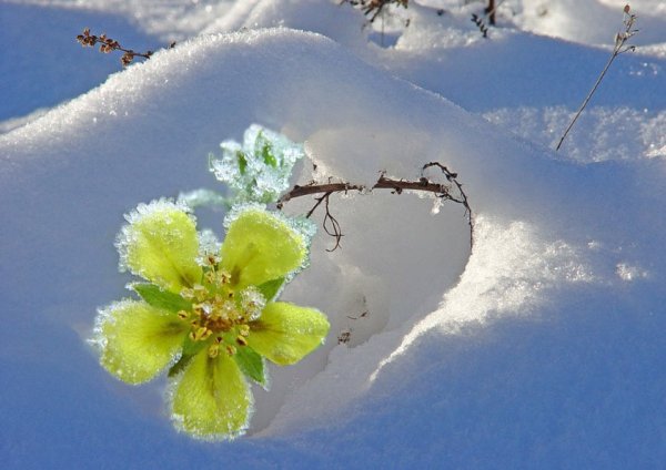 Апрель природа