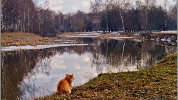 Ранняя Весна