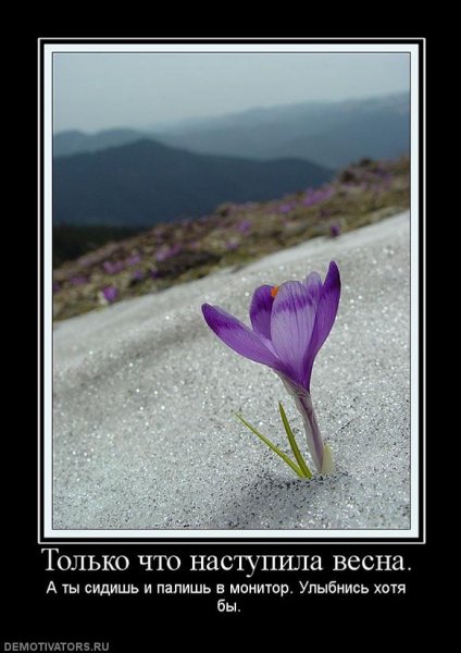 Весна мотиватор