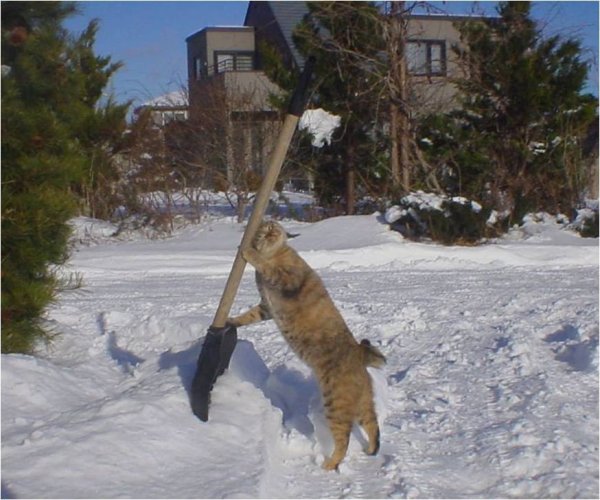 Помогай весне ешь снег