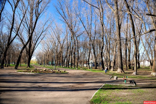 Парки весной