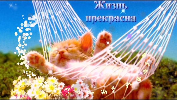 Девушка с ноутбуком на пляже