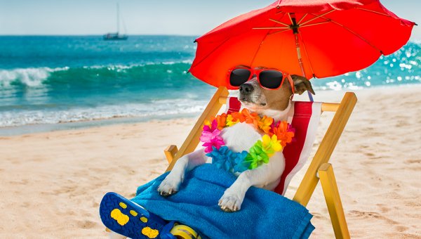 Лето путешествие