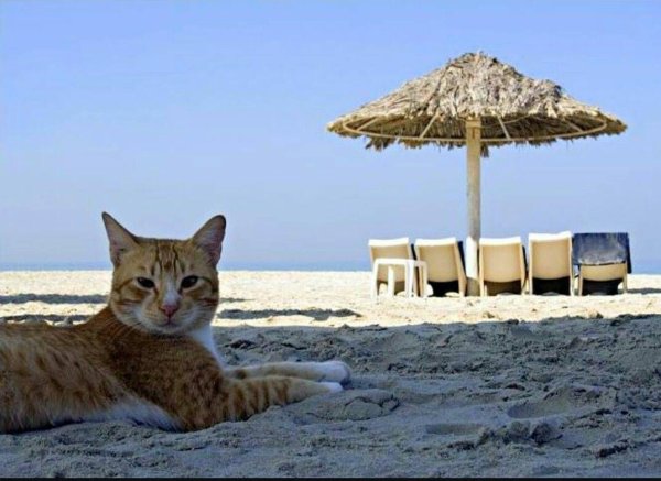 Я В отпуске