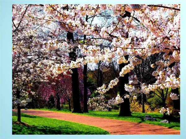 Весенние ручьи