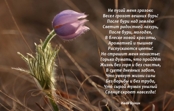 Стихотворение о весне