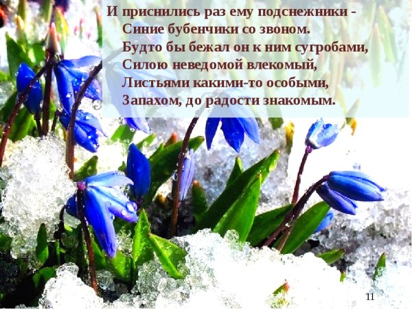 Стихи о весенних цветах короткие
