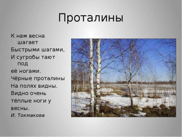 Стихотворение про Подснежник