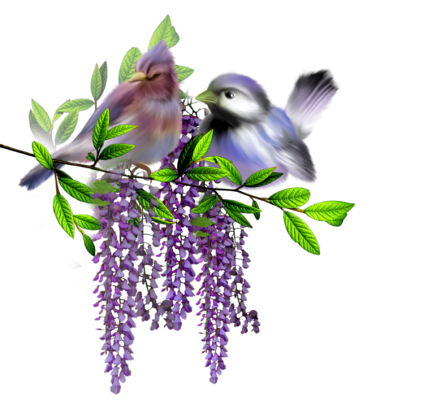 Доброе Весеннее утро среды