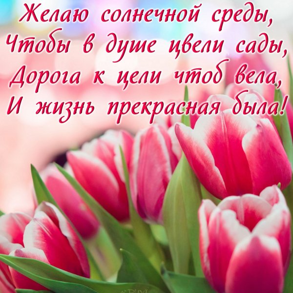 Поздравление со средой