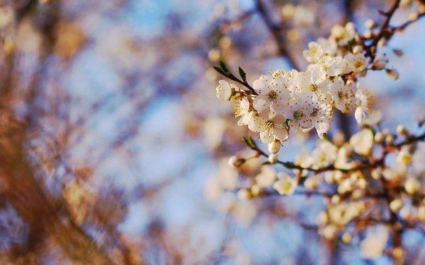 Открытки с добрым утром весенние с детьми